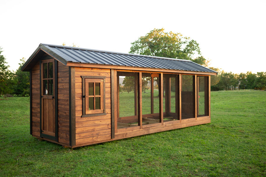 Chicken Coop The Sustainable Solutions